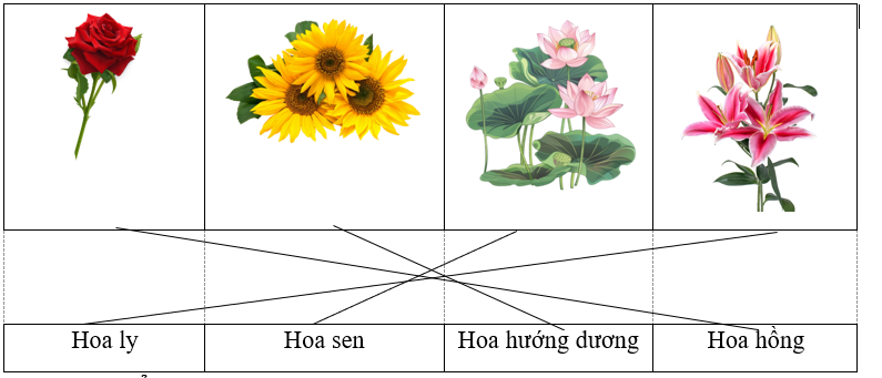 Nối hình với đáp án phù hợp:  	  	  	        	     	     	        Hoa ly   	  Hoa sen   	  Hoa hướng dương  	  Hoa hồng  (ảnh 1)