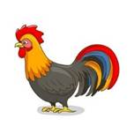 Các mẫu hình ảnh con gà hoạt hình dễ thương đang đốn tim cộng đồng mạng