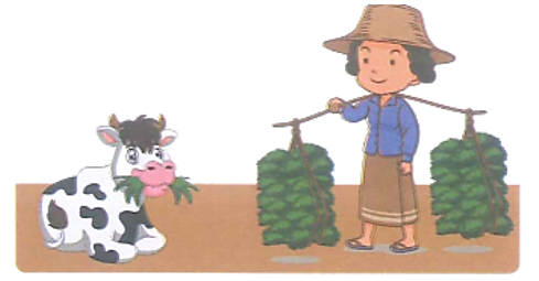 Sau khi cắt được một lượng lớn cỏ tươi, mẹ dùng quang gánh mang số cỏ đó về nhà cho bò ăn.  (ảnh 1)