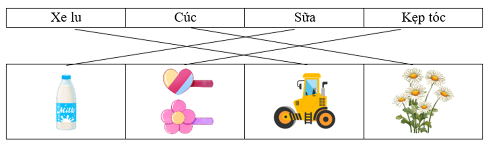 Nối chữ và hình tương ứng: Xe lu Cúc Sữa Kẹp tóc (ảnh 1)