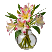 H&igrave;nh ảnh Hoa Alstroemeria Trong B&igrave;nh B&oacute;ng PNG , Hoa Alstroemeria Trong  B&igrave;nh, Hoa Alstroemeria C&oacute; L&aacute;, Hoa PNG trong suốt v&agrave; Vector để tải xuống  miễn ph&iacute;