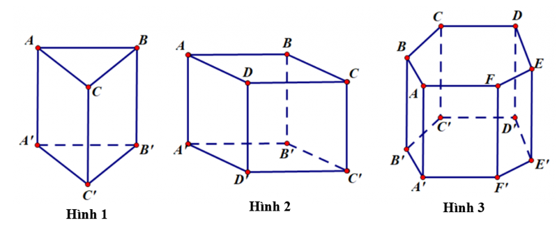 Trong các hình sau, hình nào là hình lăng trụ đứng tam giác? (ảnh 1)
