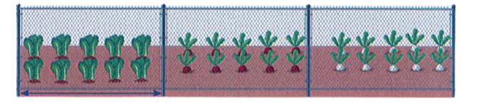 Bố An làm hàng rào lưới ngăn không cho gà vào vườn. Bố đóng 4 chiếc cọc, các cọc cách đều nhau 5 m.  (ảnh 1)