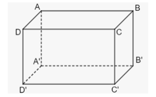 Hình hộp chữ nhật ABCD.A'B'C'D' có mặt BB'C'C là hình gì? (ảnh 1)