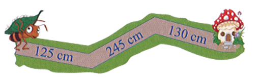 Để về đến nhà, Kiến cần đi quãng đường dài bao nhiêu mét?  Kiến cần đi quãng đường dài …… m.	  (ảnh 1)