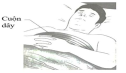 Để giám sát quá trình hô hấp của bệnh nhân, các nhân viên y tế sử dụng một dải mỏng gồm 250 vòng (ảnh 1)