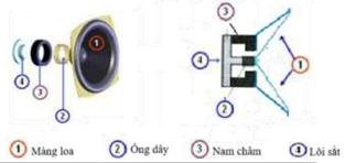 Hình bên dưới là mô hình loa điện động. (ảnh 1)