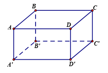 Hình hộp chữ nhật ABCD.A'B'C'D'có BB' = 7cm .Khẳng định nào sau đây đúng? (ảnh 1)