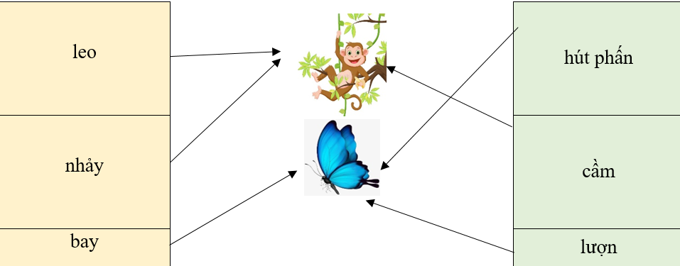 Em hãy nối các động từ sau sao cho phù hợp với từng bức tranh: (ảnh 3)