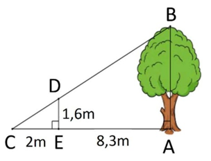 1) Cho hình vẽ bên, biết: DE = 1,6 m , CE = 2m , EA = 8,3 m (ảnh 1)