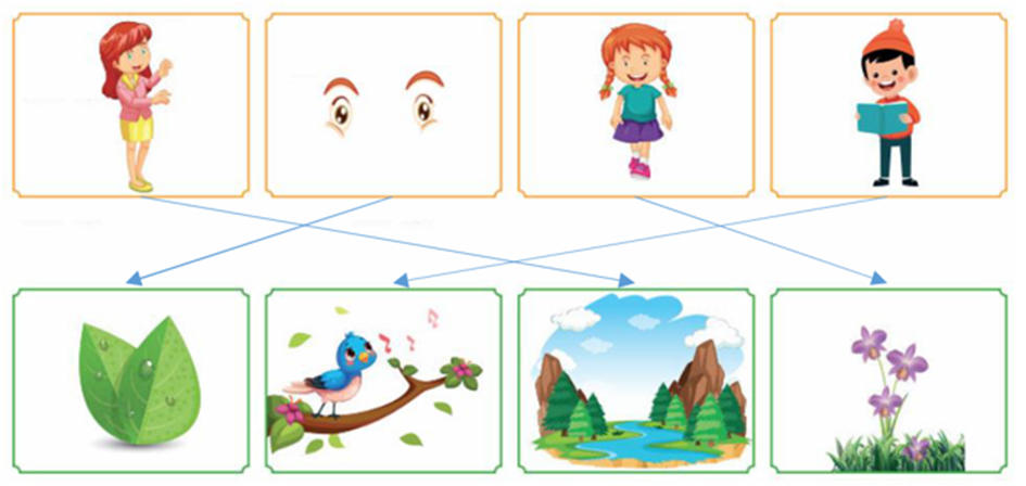 Nối các bức tranh sao cho phù hợp với nội dung bài đọc trên:  (ảnh 1)