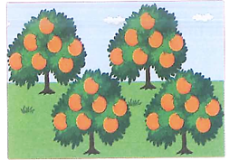 Viết phép nhân thích hợp.  (ảnh 2)