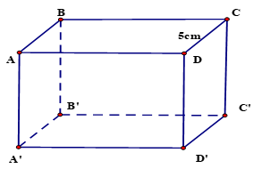 Hình hộp chữ nhật  ABCD.A'B'C'D' có CD = 5 cm. . Khẳng định nào sau đây đúng? (ảnh 1)