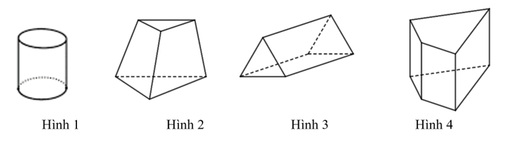 Trong các hình sau, hình nào là hình lăng trụ đứng tứ giác? (ảnh 1)