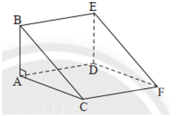 Cho hình lăng trụ đứng tam giác như hình bên. Mặt đáy của lăng trụ đứng là (ảnh 1)