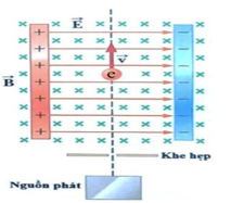 Trong một thiết bị lọc tốc độ như hình bên, tất cả các electron phát ra từ nguồn phát và ra khỏi khe hẹp (ảnh 1)