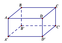 Hình hộp chữ nhật ABCD.A'B'C'D' có một đường chéo tên là: (ảnh 1)