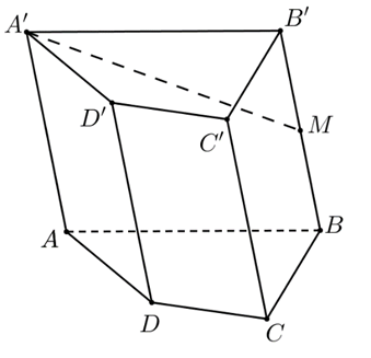 Cho h&igrave;nh lăng trụ tứ gi&aacute;c ABCD.A'B'C'D'. Gọi M l&agrave; trung điểm của BB'.  Ph&eacute;p chiếu song song theo phương chiếu A'A l&ecirc;n mặt phẳng (ABCD) của đoạn thẳng A'M thành đoạn thẳng? (ảnh 1)
