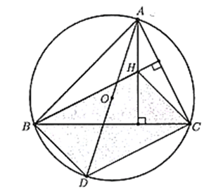 Cho tam giác ABC nội tiếp đường tròn tâm O,H là trực tâm tam giác, D là điểm đối xứng của A qua O (ảnh 1)