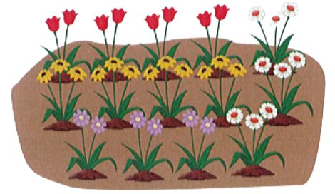 Dưới đây là số bông hoa có trong vườn nhà My. Hãy quan sát và cho biết? (ảnh 1)