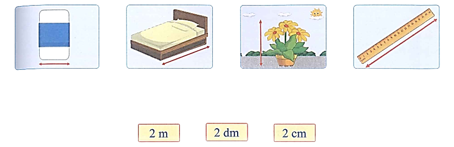Tìm vật với số đo độ dài thích hợp trong thực tế.  (ảnh 1)
