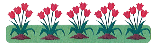 Quan sát bức tranh rồi viết phép nhân hoặc phép chia thích hợp:  Có tất cả bao nhiêu bông hoa? (ảnh 1)