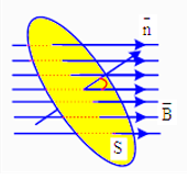 Cho một vòng dây dẫn kín đặt trong từ trường đều như hình vẽ. (ảnh 1)