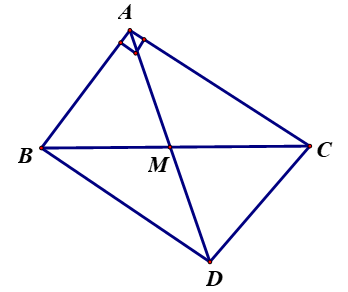 Cho tam giác ABC vuông tại A, có AB = 6cm ,AC = 8 cm (ảnh 1)