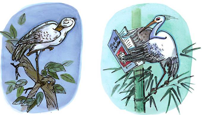 C&ograve; v&agrave; vạc