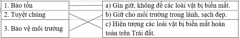Nối đúng:  1. Bảo tồn		a) Gìn giữ, không để các loài vật bị biến mất.  2. Tuyệt chủng		b) Giữ cho môi trường trong lành, sạch đẹp.  3. Bảo vệ môi trường		c) Hiện tượng các loài vật bị biến mất hoàn toàn trên Trái đất.  (ảnh 1)