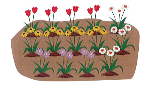 Dưới đây là số bông hoa có trong vườn nhà My. Hãy quan sát và cho biết? (ảnh 2)