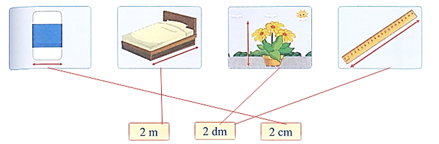 Tìm vật với số đo độ dài thích hợp trong thực tế.  (ảnh 2)