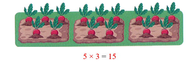Quan sát bức tranh rồi viết phép nhân hoặc phép chia thích hợp:  (ảnh 2)