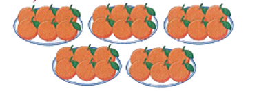 Phép tính thích hợp với tranh vẽ là:    A. 6 × 5 = 30 (ảnh 1)