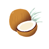 Hình ảnh Phim Hoạt Hình Trái Dừa PNG, Vector, PSD, và biểu tượng để tải về miễn phí | pngtree