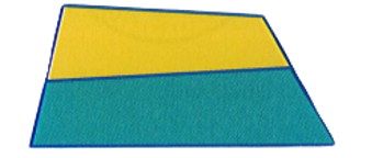 Hình bên có:    A. 3 hình tứ giác		B. 4 hình tứ giác		 (ảnh 1)