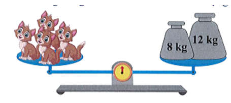 4 con mèo có cân nặng bằng nhau. Mỗi con mèo cân nặng là:  (ảnh 1)