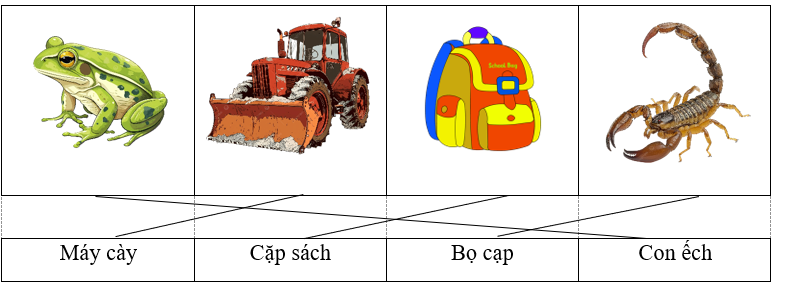 Nối từ với hình thích hợp: Máy cày Cặp sách Bọ cạp Con ếch (ảnh 1)
