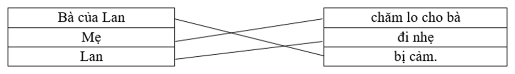 Nối: Bà của Lan chăm lo cho bà Mẹ đi nhẹ Lan bị cảm. (ảnh 1)