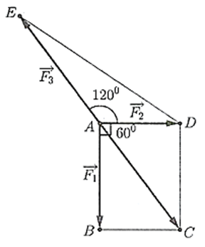 Một chất điểm A chịu tác dụng của ba lực vecto F1 vecto F2 ,vecto F3 như hình vẽ biết chất điểm A đang ở trạng thái cân bằng. Độ lớn của lực vecto F3 bằng bao nhiêu Newton biết rằng lực vecto F1 có độ lớn 12 N (ảnh 2)