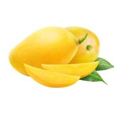 Xo&agrave;i C&aacute;t Chu - Tr&aacute;i C&acirc;y Vườn Citi Fruit