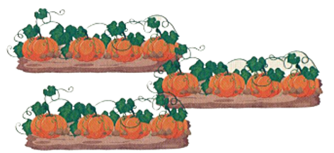 Viết phép tính và kết quả vào chỗ trống.  Có tất cả bao nhiêu quả bí ngô?  (ảnh 1)