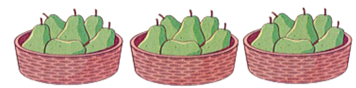 Quan sát bức tranh rồi viết phép tính thích hợp:  Có bao nhiêu quả lê? (ảnh 1)