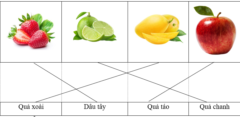 Nối đúng tên quả vào mỗi hình:  	  	  	        	     	     	        Quả xoài    	  Dâu tây   	  Quả táo   	  Quả chanh  (ảnh 1)