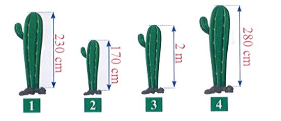 Quan s&aacute;t tranh vẽ v&agrave; điền v&agrave;o chỗ trống cho th&iacute;ch hợp.  a. Tổng chiều cao của c&acirc;y 1 v&agrave;  (ảnh 1)