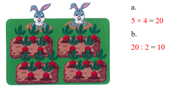 Quan sát bức tranh rồi viết phép nhân hoặc phép chia thích hợp:  a. Có tất cả bao nhiêu củ cải? (ảnh 2)