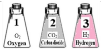 C&oacute; ba b&igrave;nh k&iacute;n giống nhau, mỗi b&igrave;nh đều chứa 2 g chất kh&iacute; ở c&ugrave;ng nhiệt độ. B&igrave;nh 1 chứa kh&iacute; oxygen (O2), b&igrave;nh 2 chứa kh&iacute; carbon dioxide (CO2), b&igrave;nh 3 chứa kh&iacute; hydrogen (H2) như h&igrave;nh b&ecirc;n. (ảnh 1)