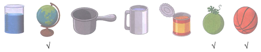 Điền dấu (V) vào ô trống dưới các vật có dạng khối cầu.  (ảnh 2)