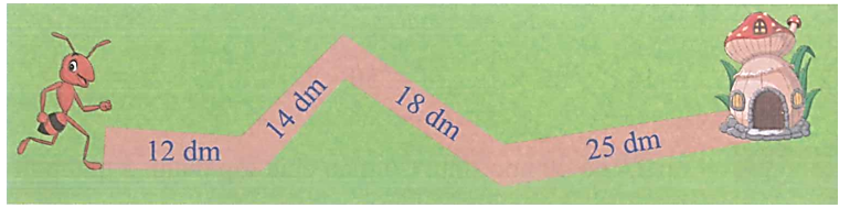 Để về nhà, Kiến cần đi quãng đường dài:  (ảnh 1)