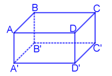 Hình hộp chữ nhật ABCD.A'B'C'D'có: AB = 3 cm, BC = 5cm,  (ảnh 1)